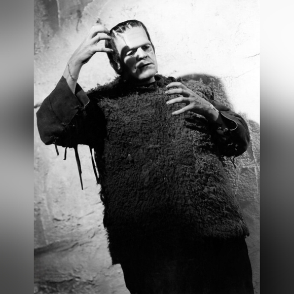 Son of Frankenstein Pro Built Vinyl Model kit Rare - Picture 14 of 14